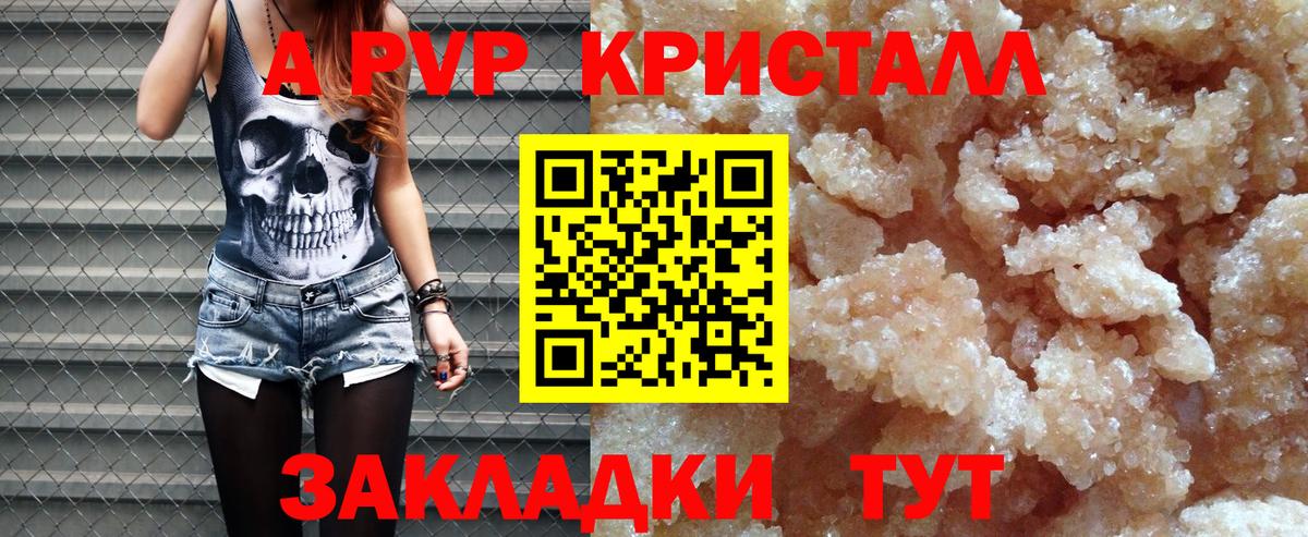 Alfa_PVP СК Кисловодск