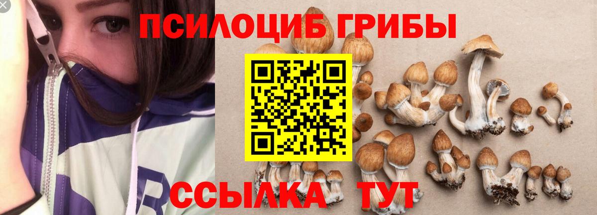 Псилоцибиновые грибы Magic Shrooms Кисловодск
